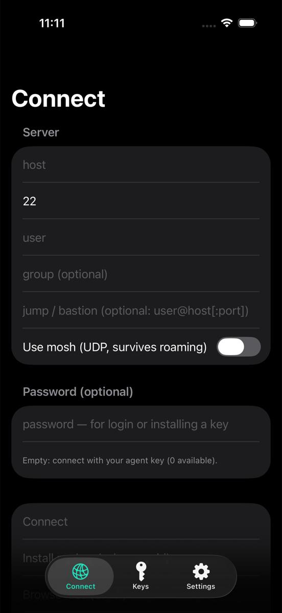 Connecting to a saved host in bsns.SSH on iPhone